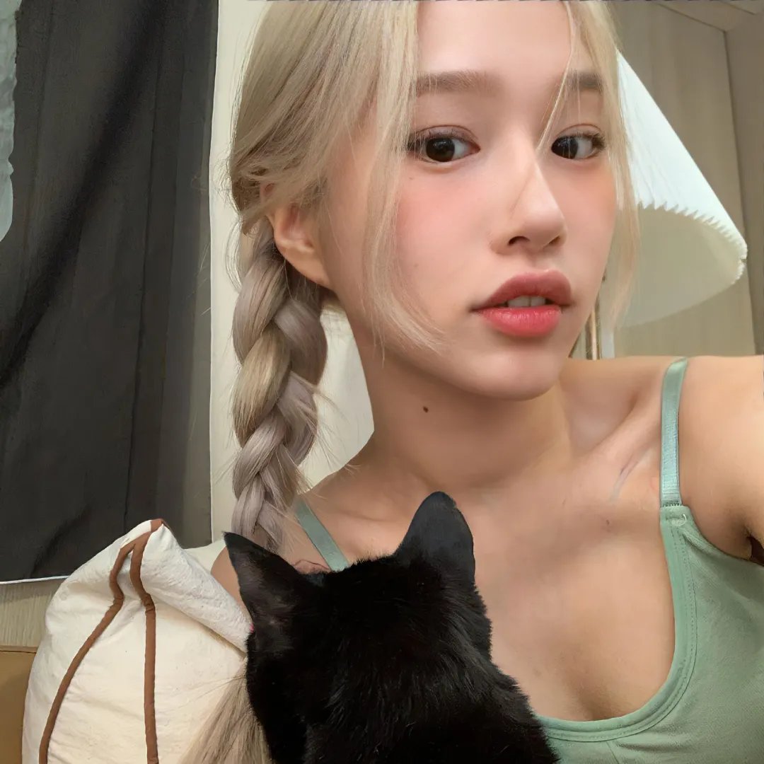 美人追