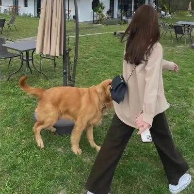 爱我多深